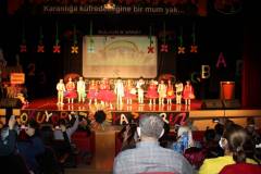 Evrensel Kolej